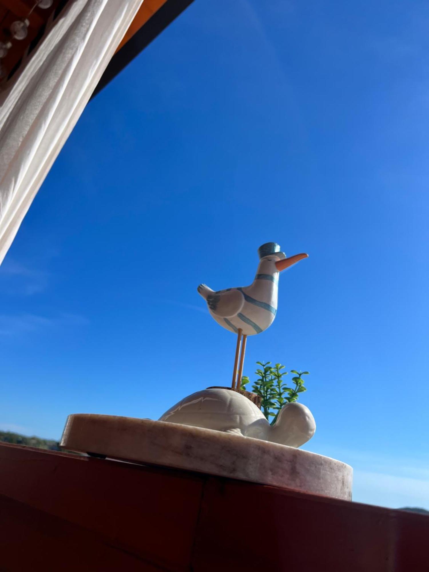 דראגה Green Turtle - Lovely, Brand New Holiday Home Near The Sea מראה חיצוני תמונה